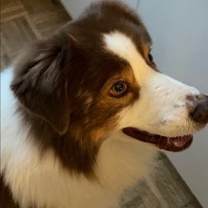 Meet your Posher, Cathern